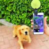 Wild Angels Pet Selfie Phone Clip – Tennis Ball Photo Prop for Dogs & Pets