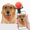 Wild Angels Pet Selfie Phone Clip – Tennis Ball Photo Prop for Dogs & Pets