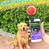 Wild Angels Pet Selfie Phone Clip – Tennis Ball Photo Prop for Dogs & Pets
