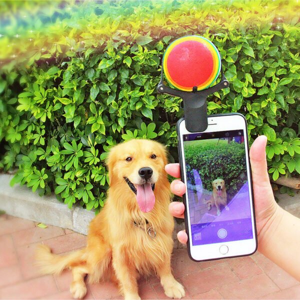 Wild Angels Pet Selfie Phone Clip – Tennis Ball Photo Prop for Dogs & Pets
