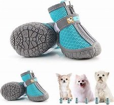 Puppy Shoes