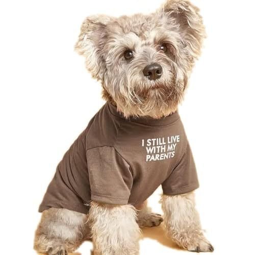 Soft & Simple Round Neck Pet Tee