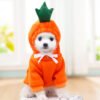 Cozy Fruit and Animal Hoodies for Small Dogs