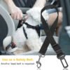 Wild Angels™ Adjustable Dog Seat Belt Leashes (2‑Pack) — Car Safety Tethers for Secure, Calm Travel