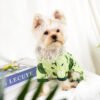 Four‑Legged Dog Pajamas – Cozy All‑Season Jumpsuit for Dogs