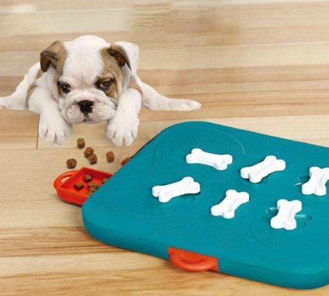 Pet Casino Treasure Hunt Puzzle Feeder – Interactive Treat‑Finding Toy for Dogs