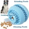 2eb19a0a-a024-4b47-b59e-6bec1672b226.jpg Wild Angels Interactive Treat Ball – Chew‑Friendly Enrichment Toy for Small & Medium Dogs