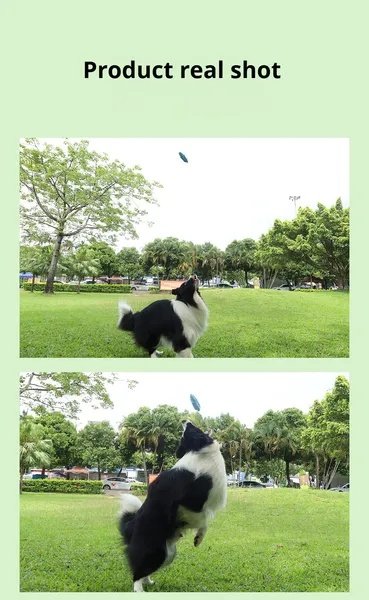 Wild Angels Silicone Corn Chew Stick