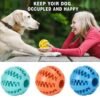 43035f95-43ae-46ae-b775-4310713adb4d.jpg Wild Angels Interactive Treat Ball – Chew‑Friendly Enrichment Toy for Small & Medium Dogs