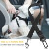Wild Angels™ Adjustable Dog Seat Belt Leashes (2‑Pack) — Car Safety Tethers for Secure, Calm Travel
