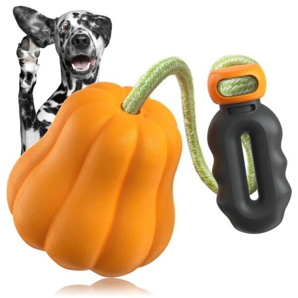 Wild Angels “Power Tug Pumpkin Ball” – Tough Rope and Fetch Ball Chew Toy
