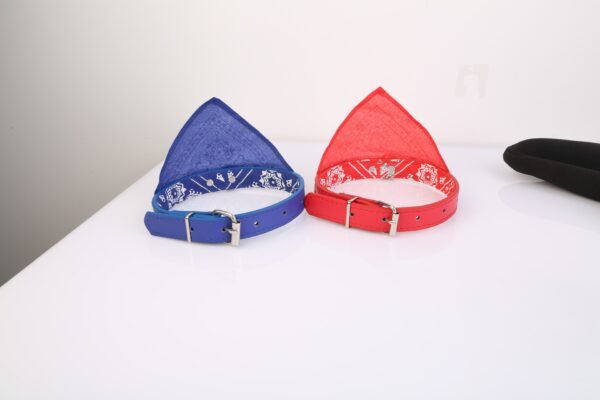 4edf82b4-3e00-4604-a9fb-1045e06f0ef3.jpg Bandana with Leather Adjustable Collar