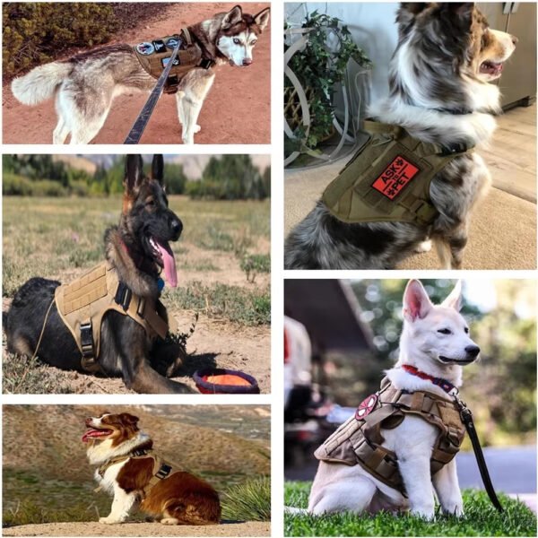 Camouflage Dog Harness and Luxury Leash Set