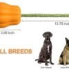 Wild Angels “Power Tug Pumpkin Ball” – Tough Rope and Fetch Ball Chew Toy