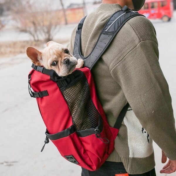 8536936528672.jpg Pet Dog Carrier Backpack – Double‑Shoulder Portable Travel Bag for Small & Medium Dogs