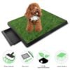 Wild Angels Indoor Grass Potty Pad – Triple‑Layer Puppy Loo Tray for Easy, Stress‑Free Training