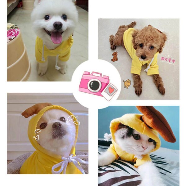 Cozy Fruit and Animal Hoodies for Small Dogs