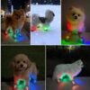 LED Light-Up Paw Protector Boots (4-Pack) — Anti-Slip, Night-Safe Dog Shoes for Small & Medium Breeds