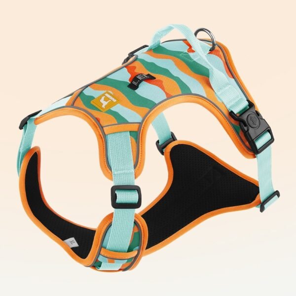 b2a8f7cf-8262-4936-9452-54826dfca3d9_trans.jpeg Dog Chest And Back Reflective Harness