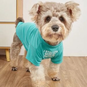 Soft & Simple Round Neck Pet Tee
