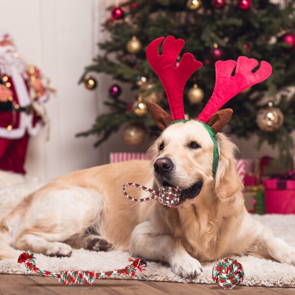 c6665f6f-0d96-4b71-af35-9fdf95e76912.jpg Wild Angels “Holiday Rope Party Pack” – 5‑Piece Christmas Dog Chew Toy Play Set for Training, Teething and Interactive Fun