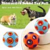 ce7e6c67-0bc6-4802-8288-cc15bfd77ce2.jpg Wild Angels™ Rubber Bell Ball Duo — 2‑Pack Interactive Chew Toys for Puppies and Small Dogs