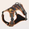 e252af8b-2f4e-4596-8b6a-e5a94757e4b6_trans.jpeg Dog Chest And Back Reflective Harness