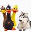 Wild Angels 3‑Piece Latex Screaming Chicken Dog Toys - Squeaky Interactive Play Set