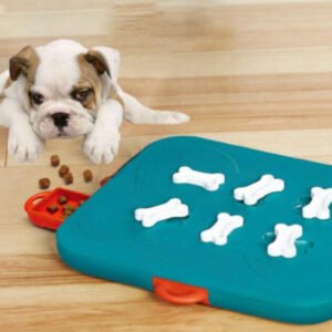 Pet Casino Treasure Hunt Puzzle Feeder – Interactive Treat‑Finding Toy for Dogs