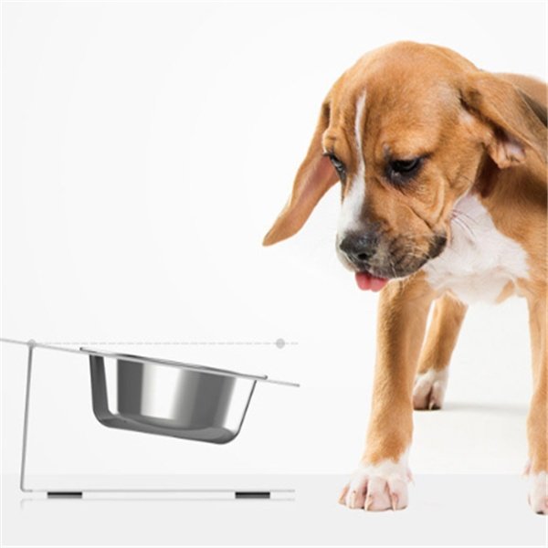 Anti-falling Dog Feeding and Water Bowl Combo