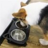 Anti-falling Dog Feeding and Water Bowl Combo