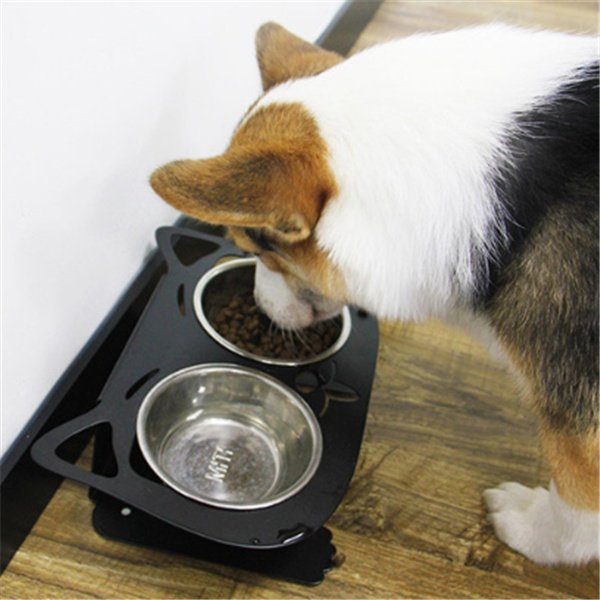 Anti-falling Dog Feeding and Water Bowl Combo