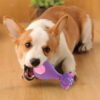 4‑Piece Latex Dog Chew Toys with Squeaker - Puppy Teething & Dental Play Set
