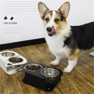 Anti-falling Dog Feeding and Water Bowl Combo