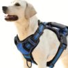 Tactical Service Dog Harness Set by Wild Angels™ — Adjustable Vest, Car Seat Belt & Outdoor Essentials