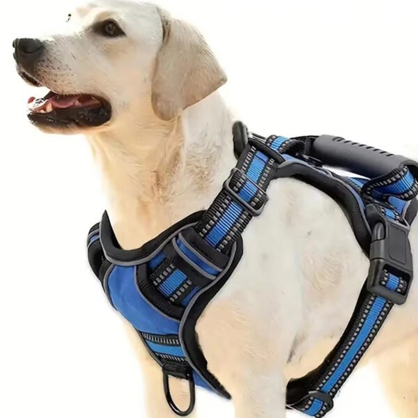 Tactical Service Dog Harness Set by Wild Angels™ — Adjustable Vest, Car Seat Belt & Outdoor Essentials