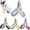 Comfort Fit Reflective No Pull Dog Harness & Leather Leash Set | Wild Angels Store