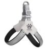 Comfort Fit Reflective No Pull Dog Harness & Leather Leash Set | Wild Angels Store