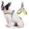 Comfort Fit Reflective No Pull Dog Harness & Leather Leash Set | Wild Angels Store