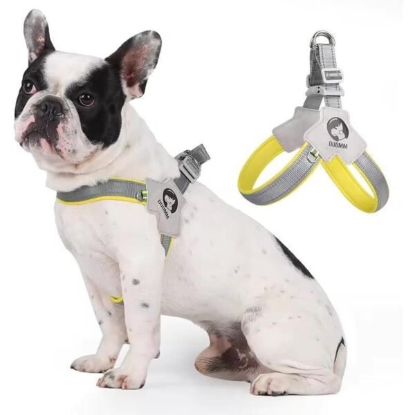 Comfort Fit Reflective No Pull Dog Harness & Leather Leash Set | Wild Angels Store