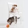 Wild Angels™ Intelligent Wicked Ball Dog Toy USB Rechargeable