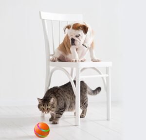 Wild Angels™ Intelligent Wicked Ball Dog Toy USB Rechargeable