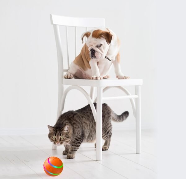 Wild Angels™ Intelligent Wicked Ball Dog Toy USB Rechargeable