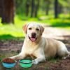 18a72aa5-b438-433b-8b13-7da2597900b6.jpg Wild Angels™ AdventureFold Travel Pet Bowl Set | Premium 2-Pack Collapsible Food & Water Bowls with Protective Lids