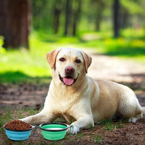 18a72aa5-b438-433b-8b13-7da2597900b6.jpg Wild Angels™ AdventureFold Travel Pet Bowl Set | Premium 2-Pack Collapsible Food & Water Bowls with Protective Lids