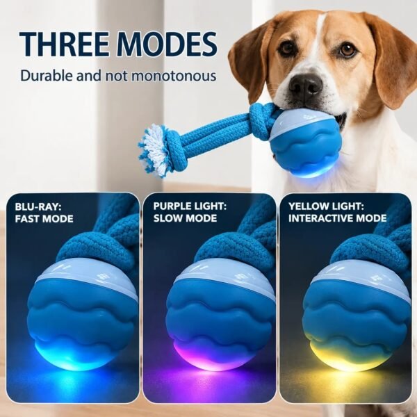 8e7f823c-015b-49f8-b52a-a78b793bc44c.jpg Wild Angels™ Interactive Tug & IQ Trainer Dog Toy | Durable Chew & Fitness Pull Toy with 3 Bonus Ropes