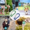 ca4115eb-32f0-487e-b59e-4573f3844237.jpg Wild Angels™ AdventureFold Travel Pet Bowl Set | Premium 2-Pack Collapsible Food & Water Bowls with Protective Lids