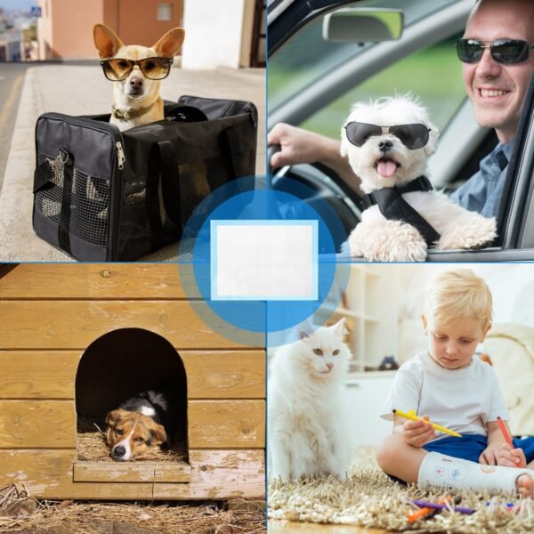Wild Angels™ Premium Pet Training Pad Value Pack | 50 Ultra-Absorbent Puppy & Cat Potty Pads | 24" x 18" Leak-Resistant Wee Mats