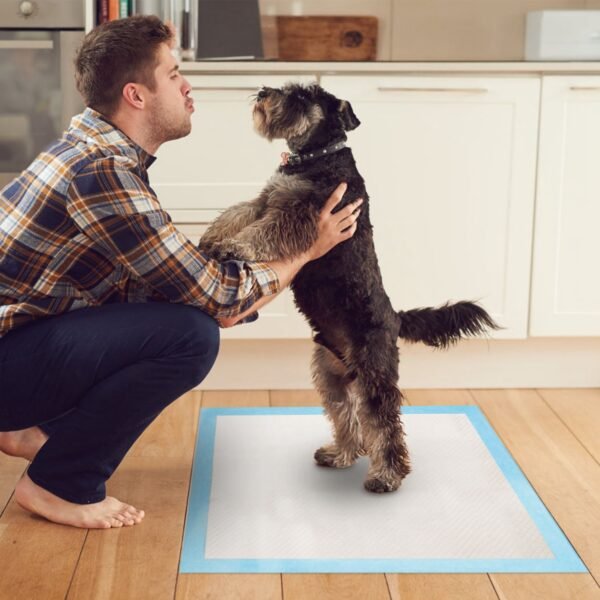 Wild Angels™ Premium Pet Training Pad Value Pack | 50 Ultra-Absorbent Puppy & Cat Potty Pads | 24" x 18" Leak-Resistant Wee Mats